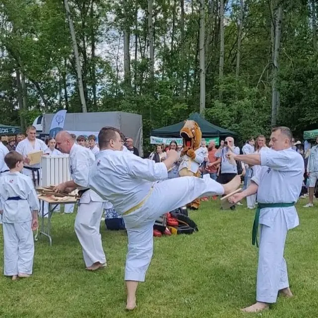 Karate Kyokushin
